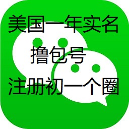 美国一年实名微信1000额度【自动发货】